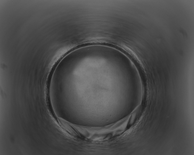 X0000090881277200708031023
