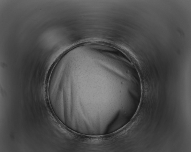 X0000090881278200708031023