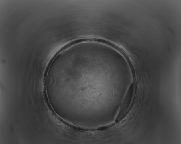 X0000090881279200708031023