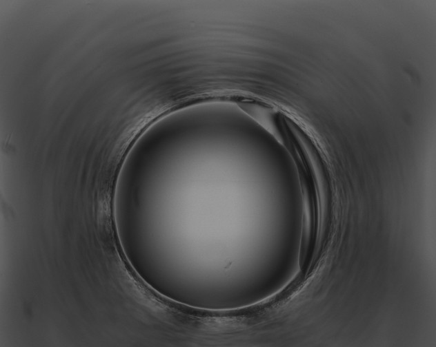 X0000090881281200708031023