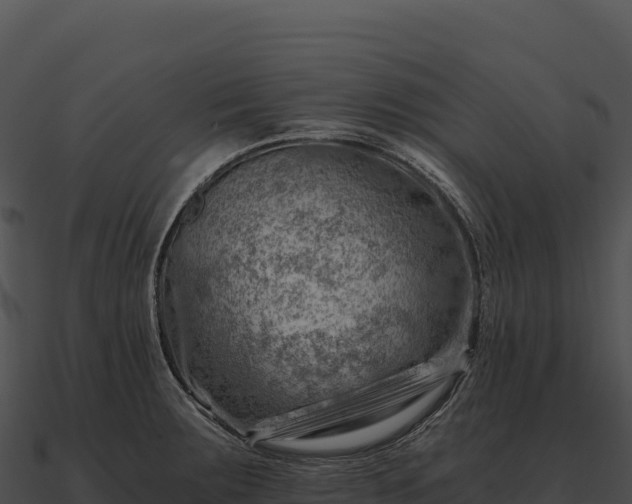 X0000090881283200708031023