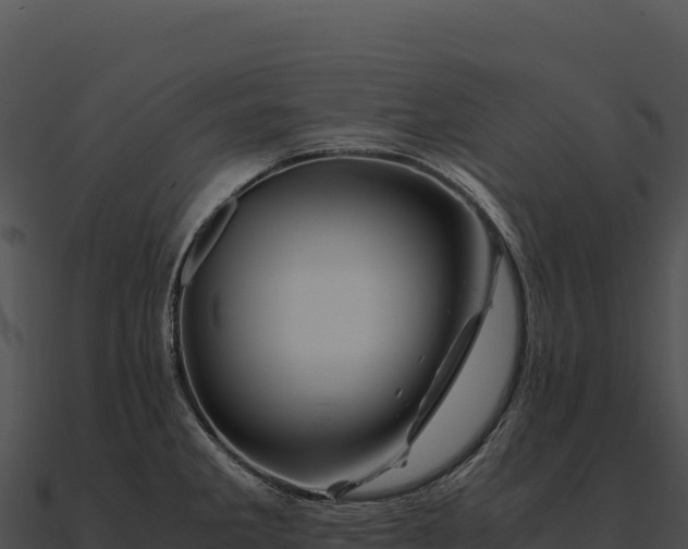X0000090881285200708031023