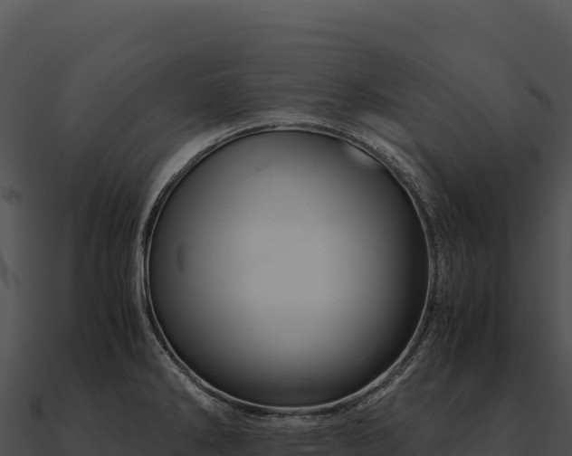 X0000090881286200708031023
