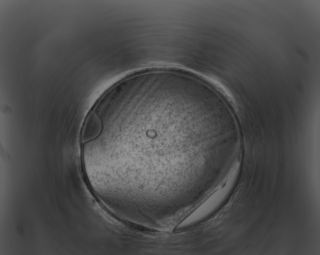 X0000090881287200708031023