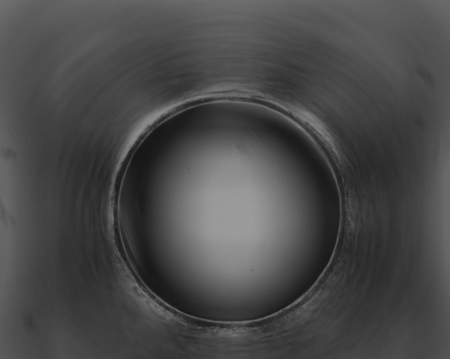 X0000090881288200708031023