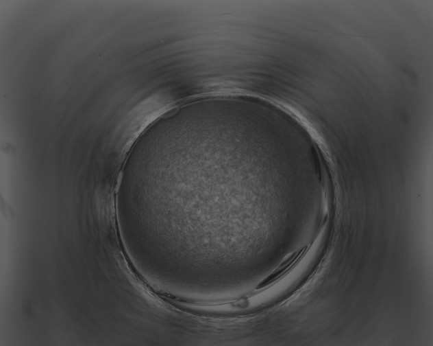 X0000090881289200708031023