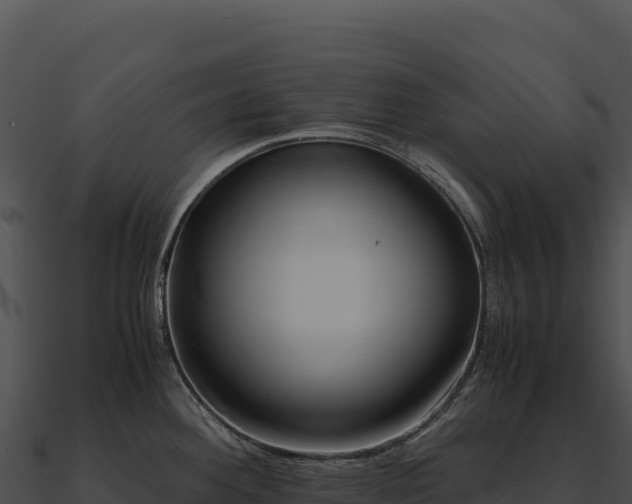X0000090881292200708031023