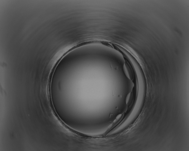X0000090881293200708031023
