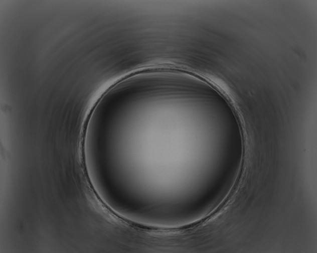 X0000090881296200708031023
