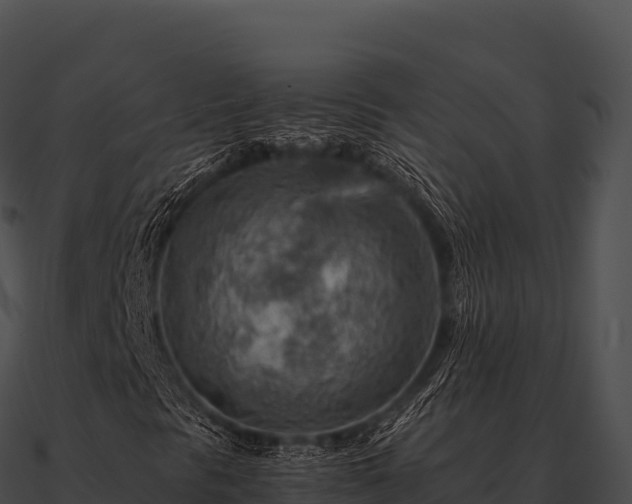 X0000090881297200708031022