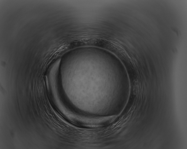 X0000090881298200708031022