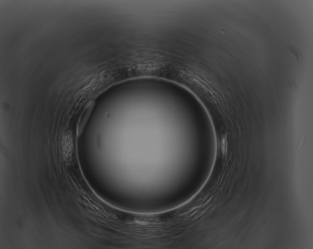 X0000090881299200708031022