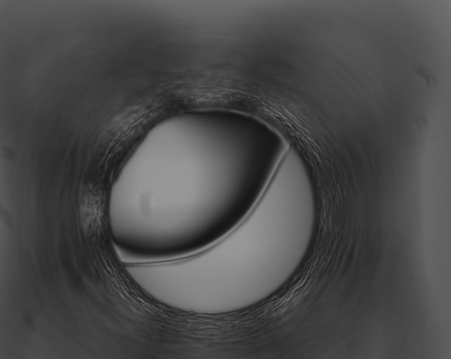X0000090881300200708031022
