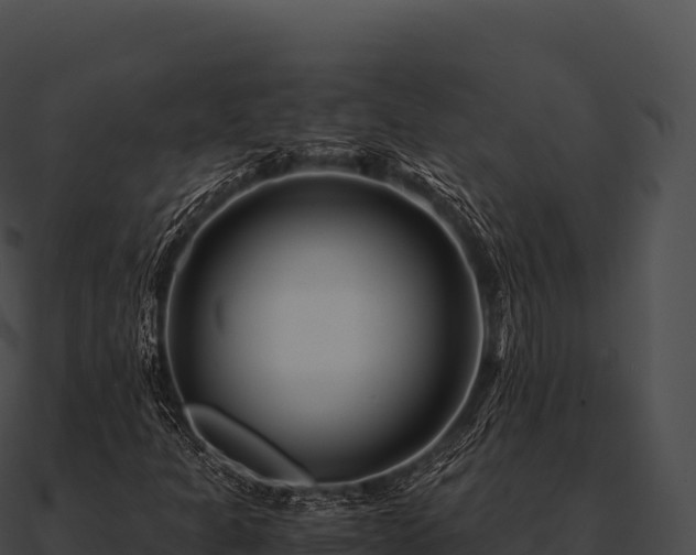 X0000090881301200708031022