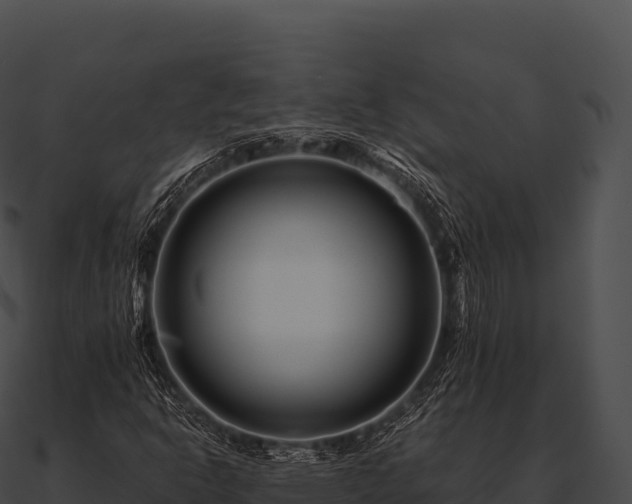 X0000090881302200708031022