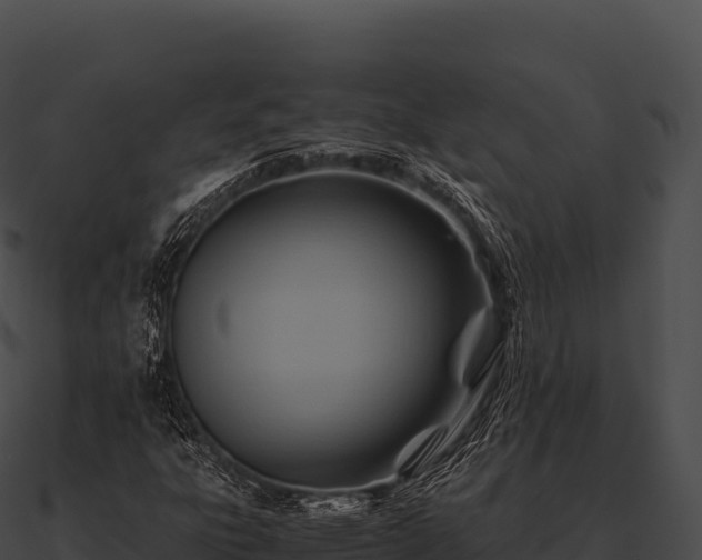X0000090881303200708031022
