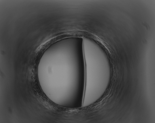 X0000090881304200708031022