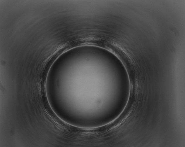 X0000090881305200708031022
