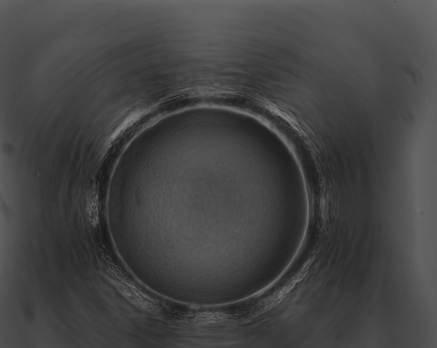 X0000090881306200708031022