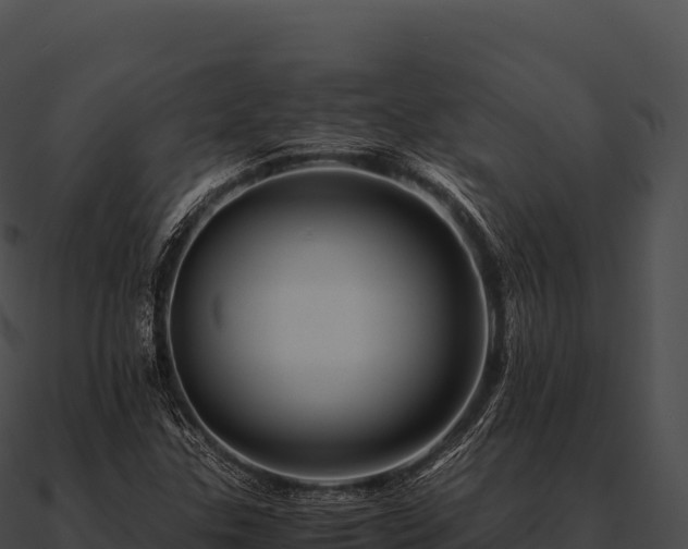 X0000090881307200708031022