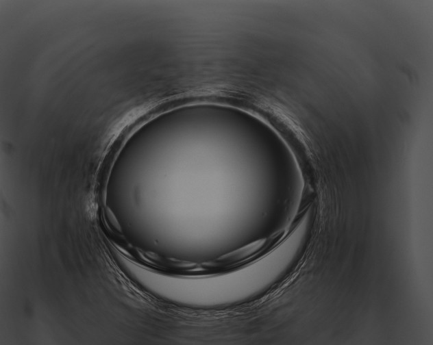 X0000090881308200708031022