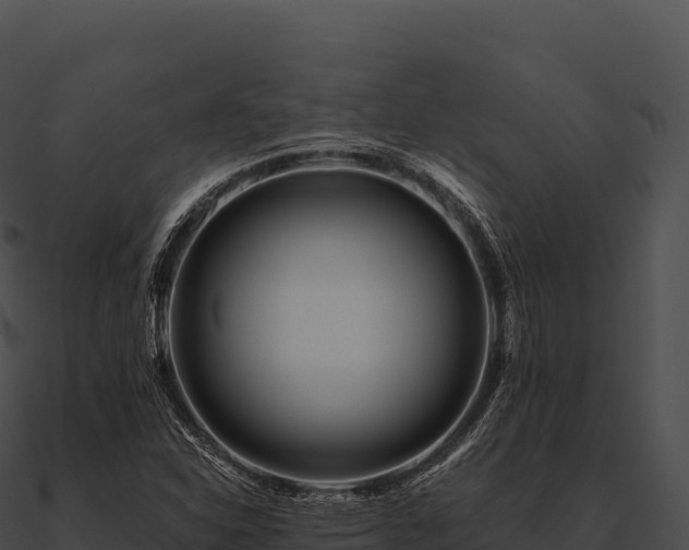 X0000090881310200708031022