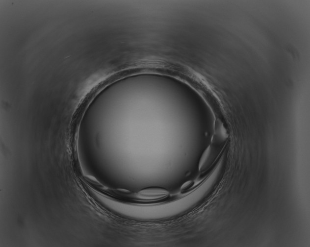 X0000090881312200708031022