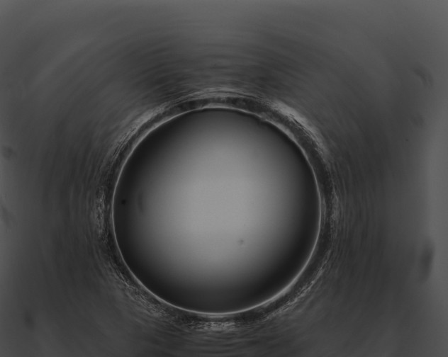 X0000090881313200708031022