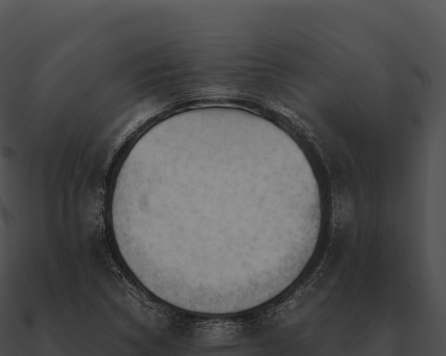 X0000090881314200708031022