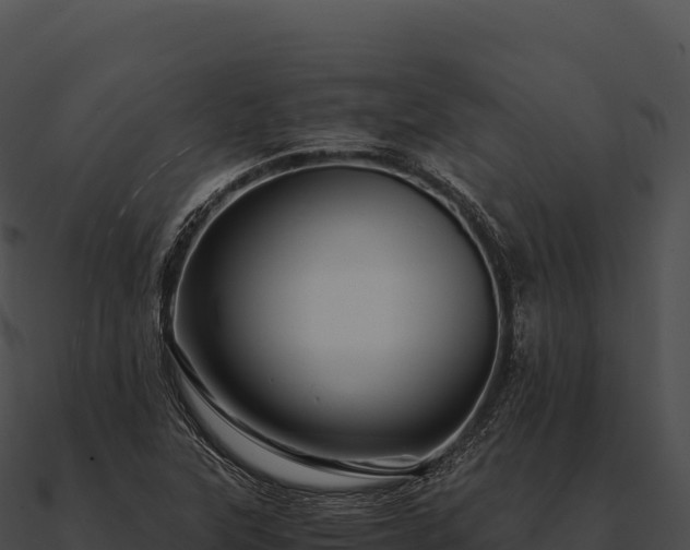 X0000090881315200708031022