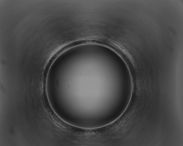 X0000090881316200708031022