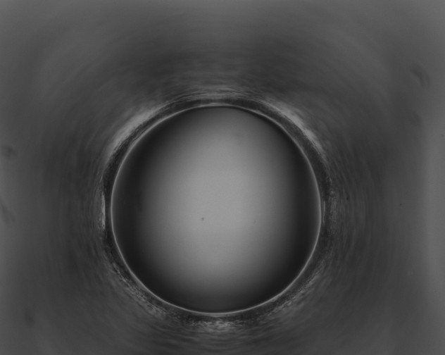 X0000090881317200708031022