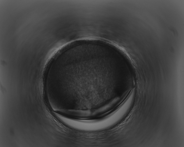 X0000090881319200708031022