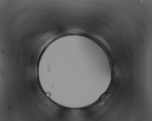 X0000090881322200708031022