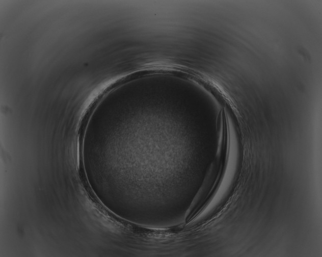 X0000090881323200708031022