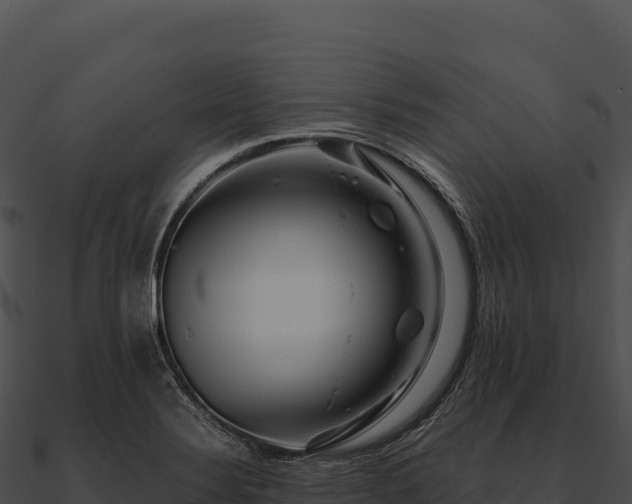 X0000090881324200708031022