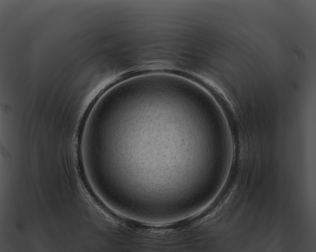 X0000090881325200708031023