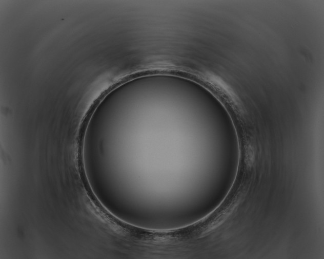 X0000090881326200708031023