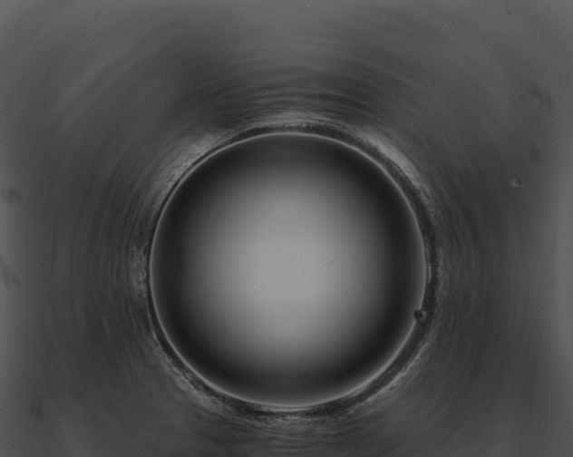 X0000090881329200708031023