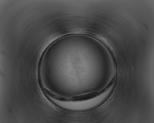 X0000090881331200708031023