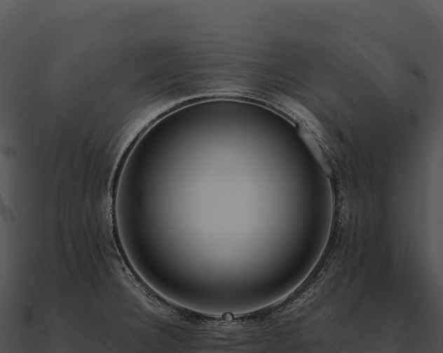X0000090881332200708031023