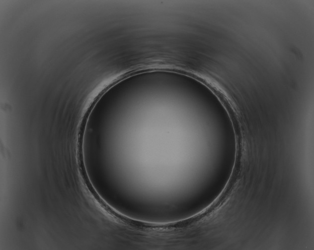 X0000090881333200708031023