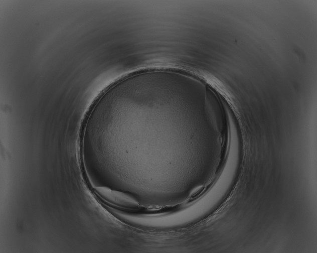X0000090881334200708031023