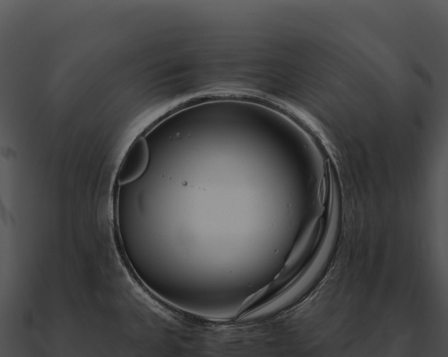 X0000090881335200708031023