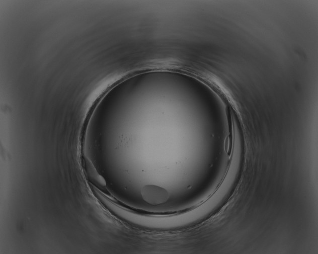 X0000090881336200708031023