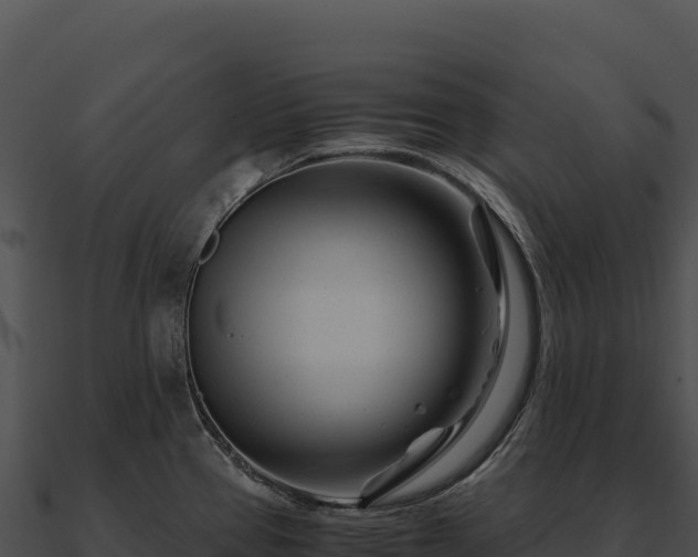 X0000090881337200708031023