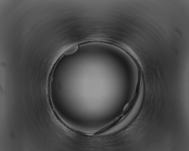 X0000090881339200708031023