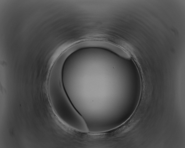 X0000090881344200708031023