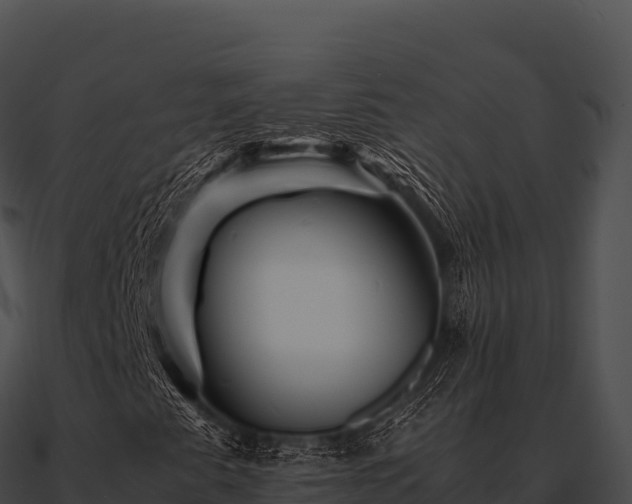 X0000090881345200708031022