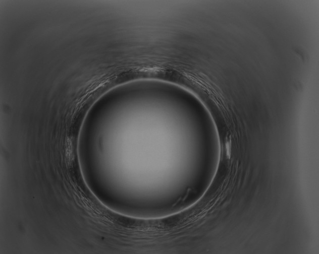 X0000090881347200708031022